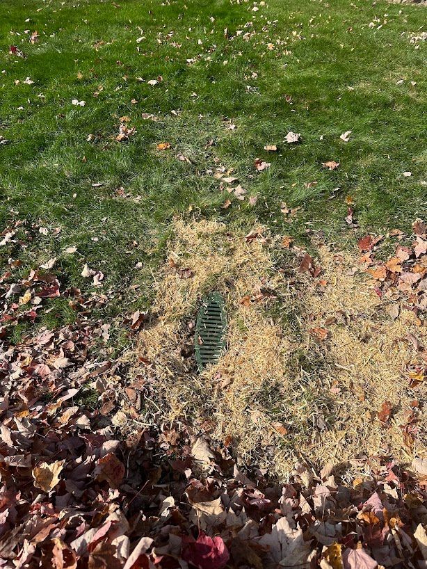 A drain in the middle of a lush green lawn surrounded by leaves.