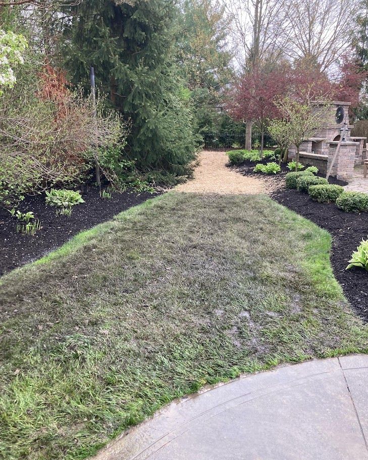 A path going through a lush green garden with trees and bushes.