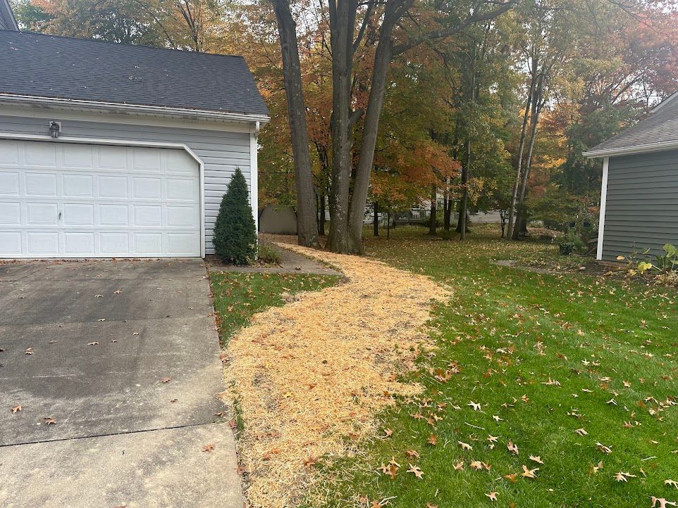 There is a path leading to a garage and a house.