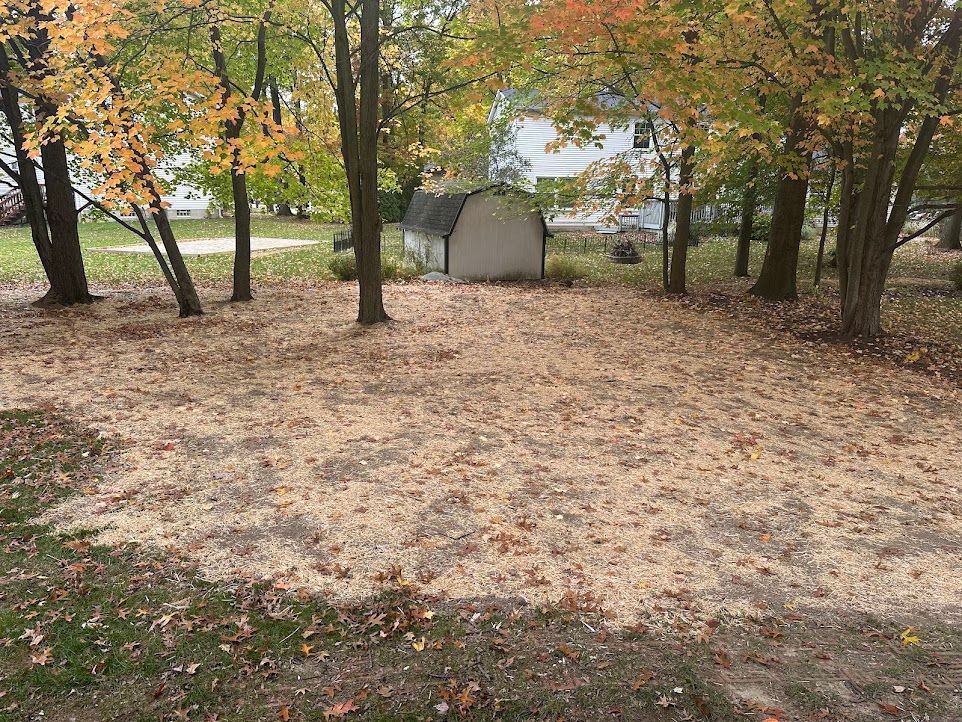 A shed is sitting in the middle of a park surrounded by trees.