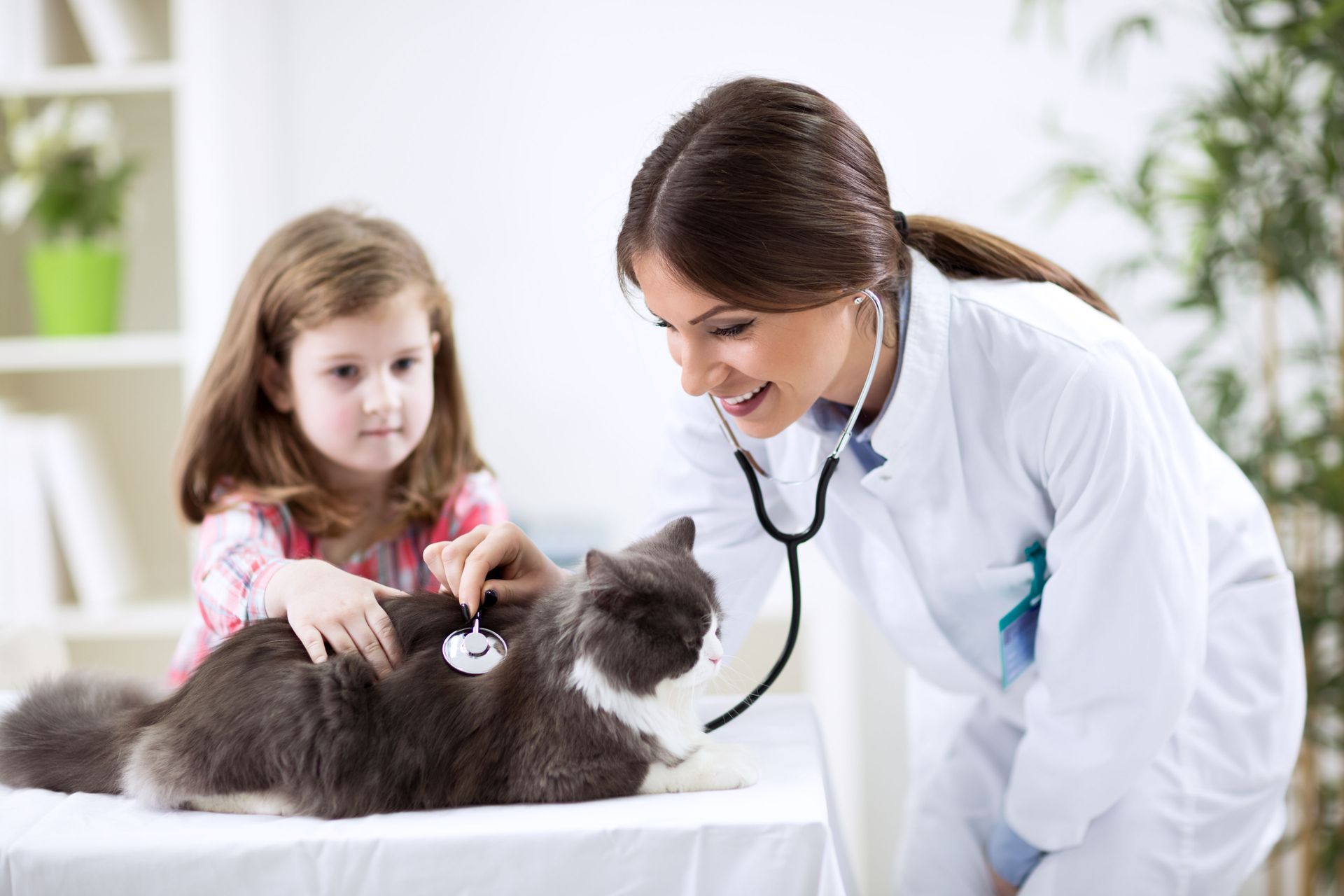 animal clinic