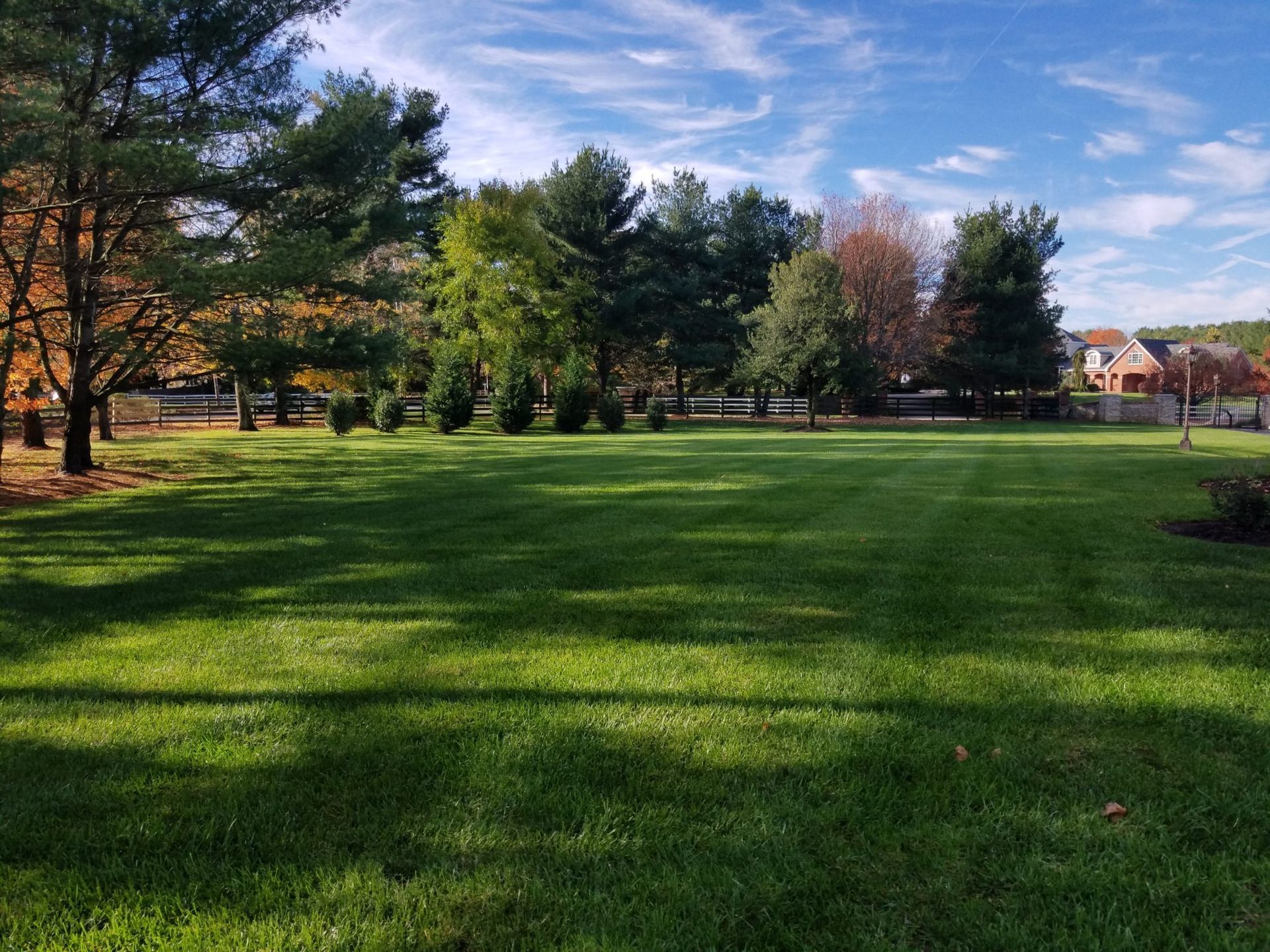 A lush green field with trees in the background on a sunny day