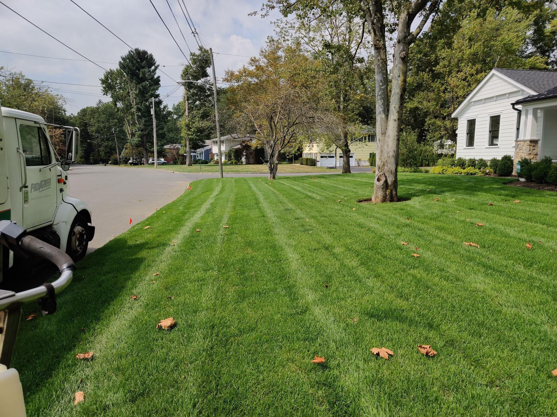 A truck is parked in front of a lush green lawn.