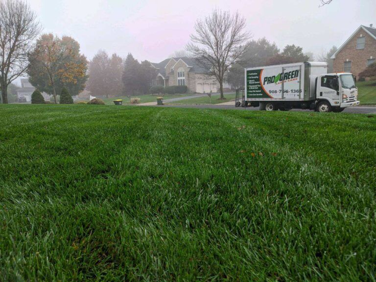 A white truck is driving down a road next to a lush green field.