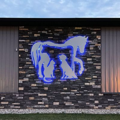Blue-lit metal art of a horse, cat, and dog on a stone wall, likely a veterinary clinic sign.