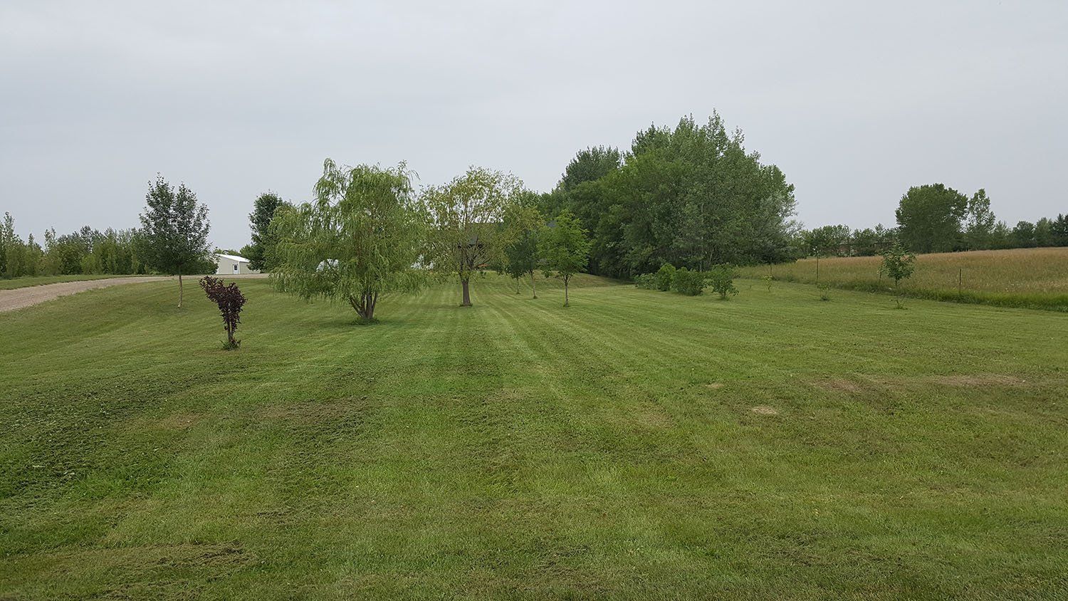 Lawn Care and Maintenance Services