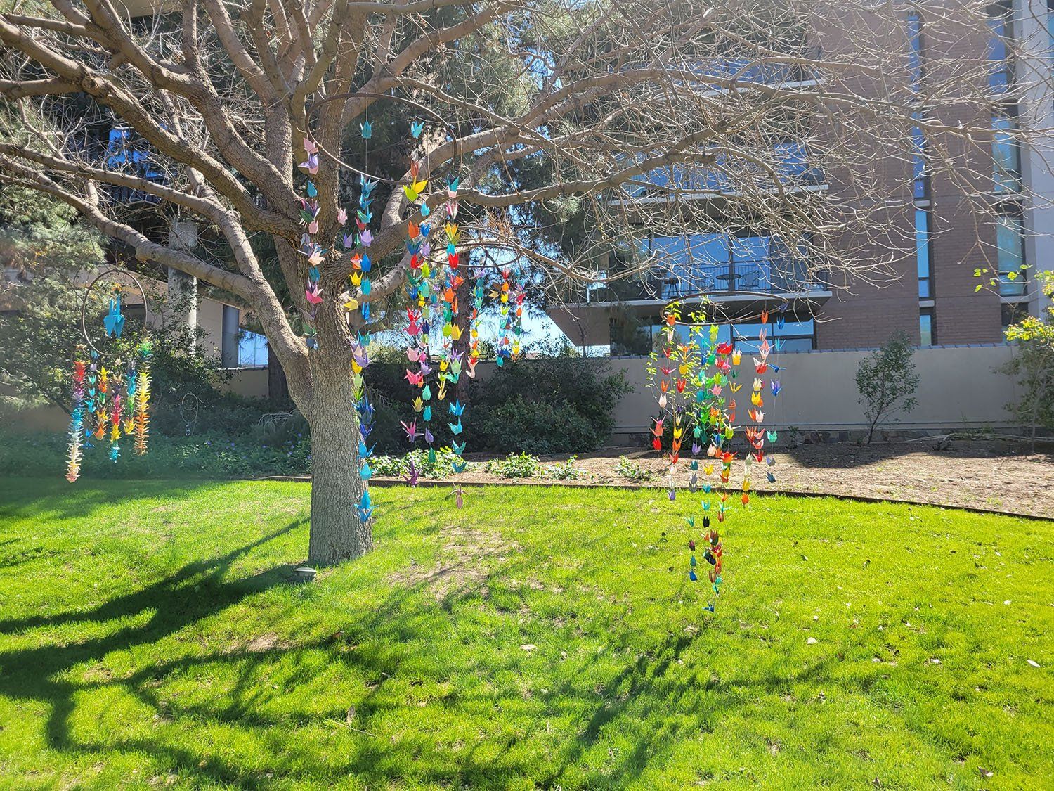 Lawn Care and Maintenance Services