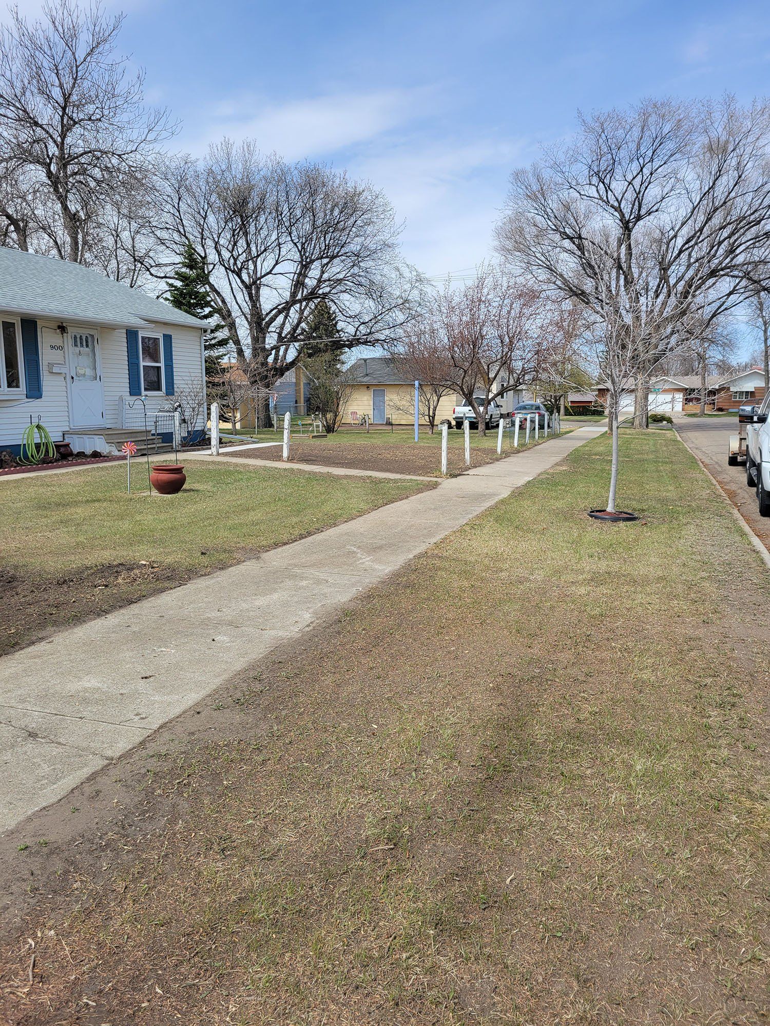 Lawn Care and Maintenance Services