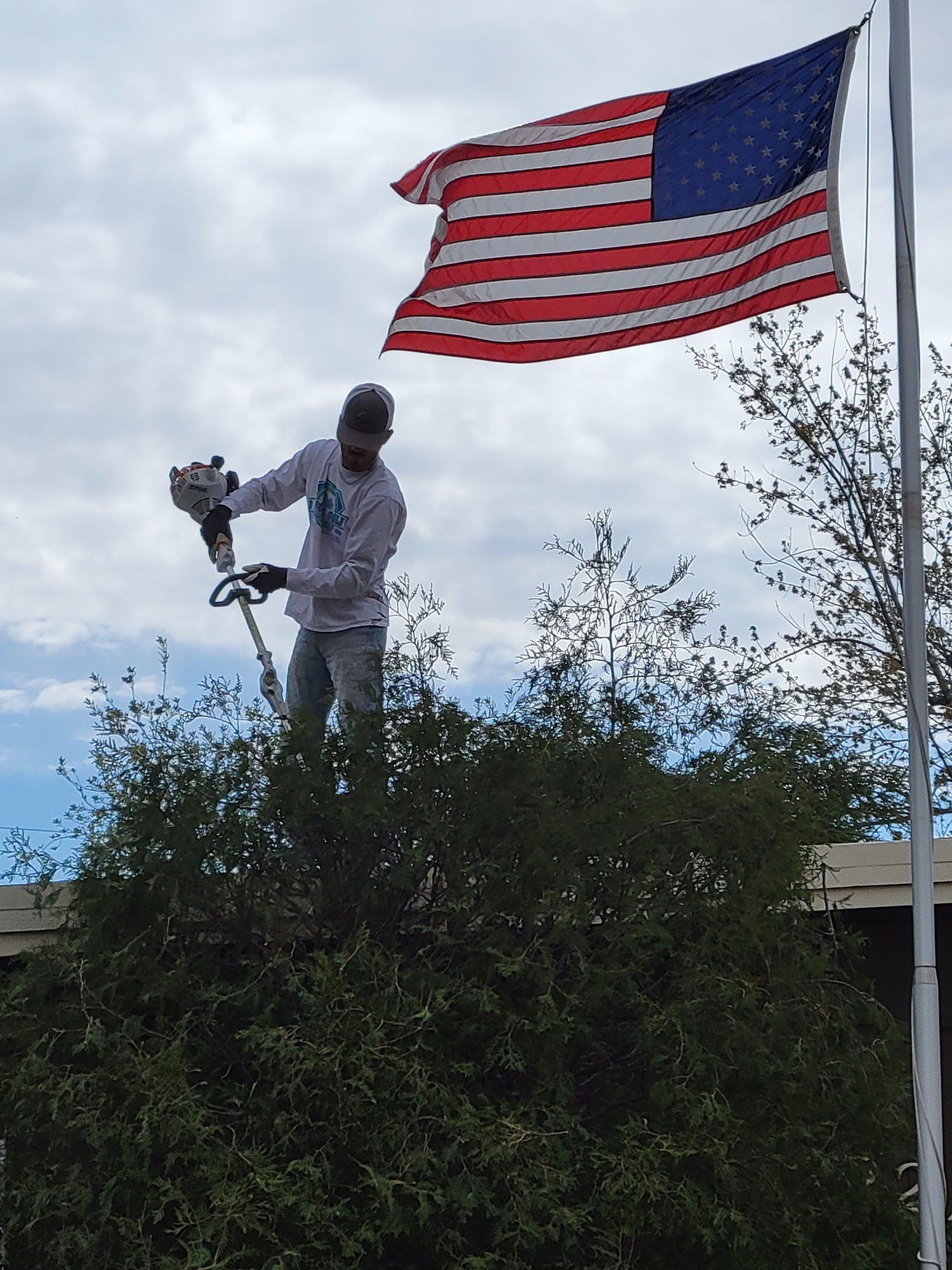 Lawn Care and Maintenance Services