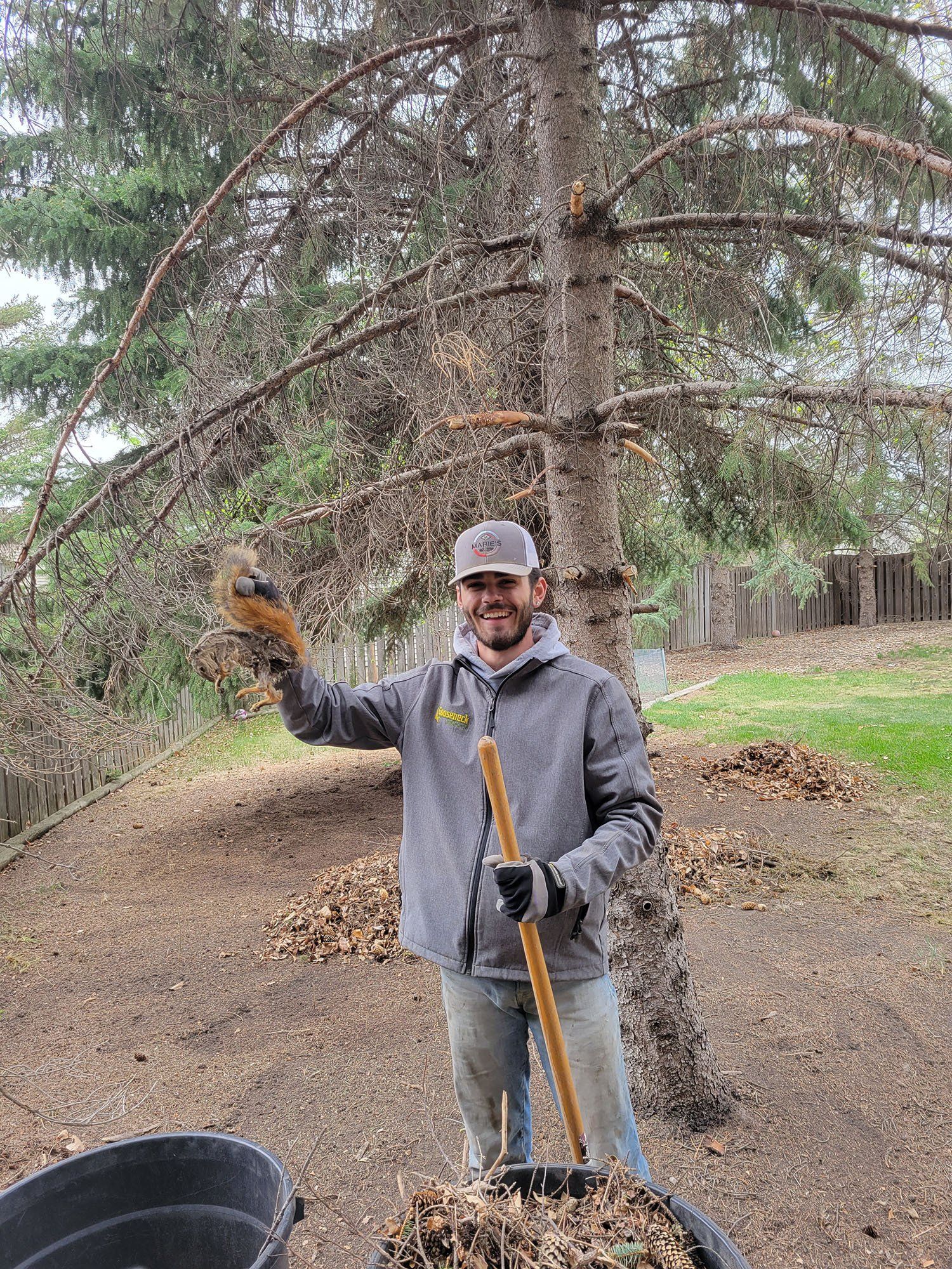 Lawn Care and Maintenance Services