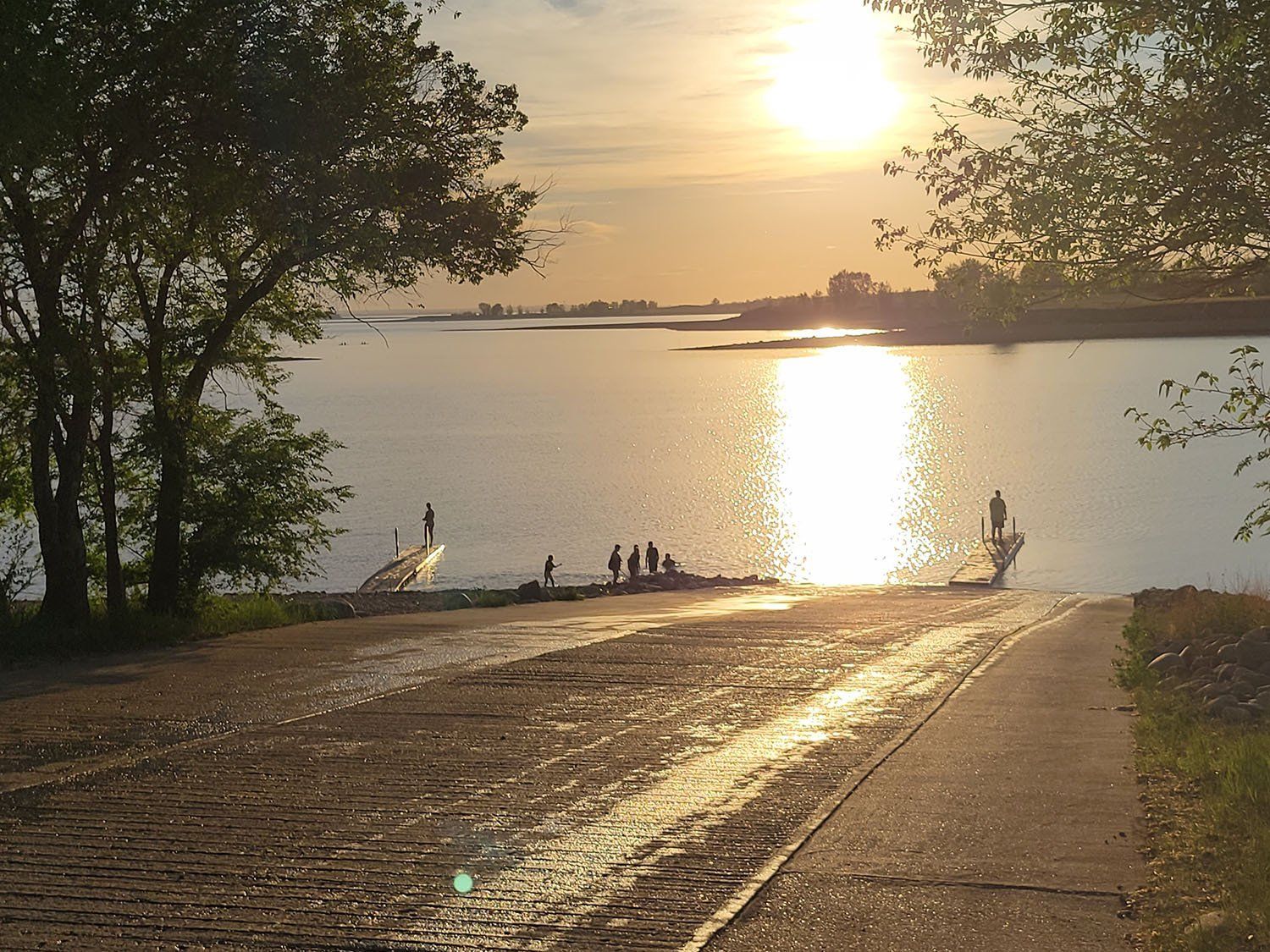 Lawn Care and Maintenance Services