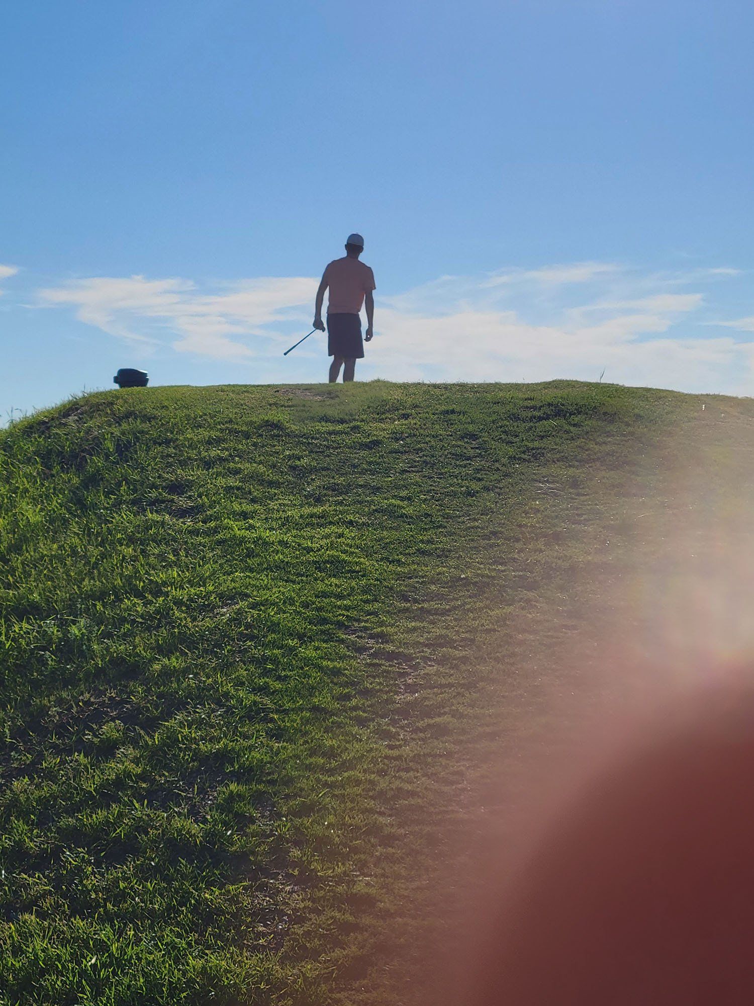 Lawn Care and Maintenance Services