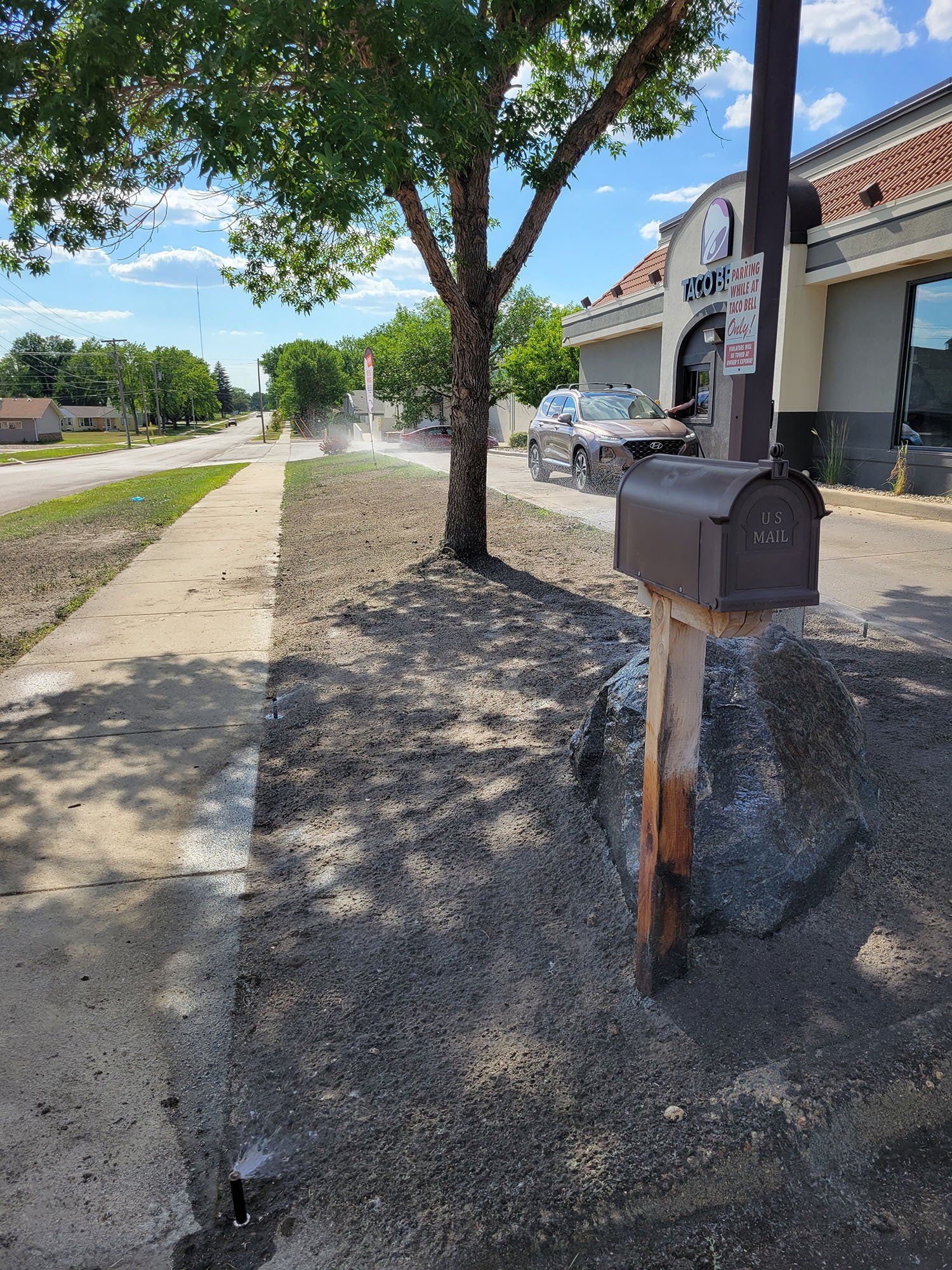 Lawn Care and Maintenance Services