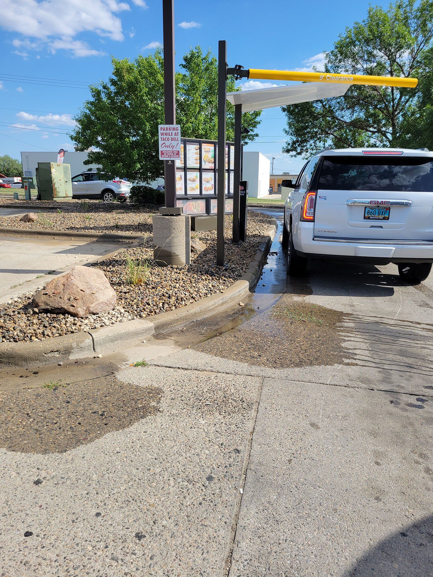 Lawn Care and Maintenance Services