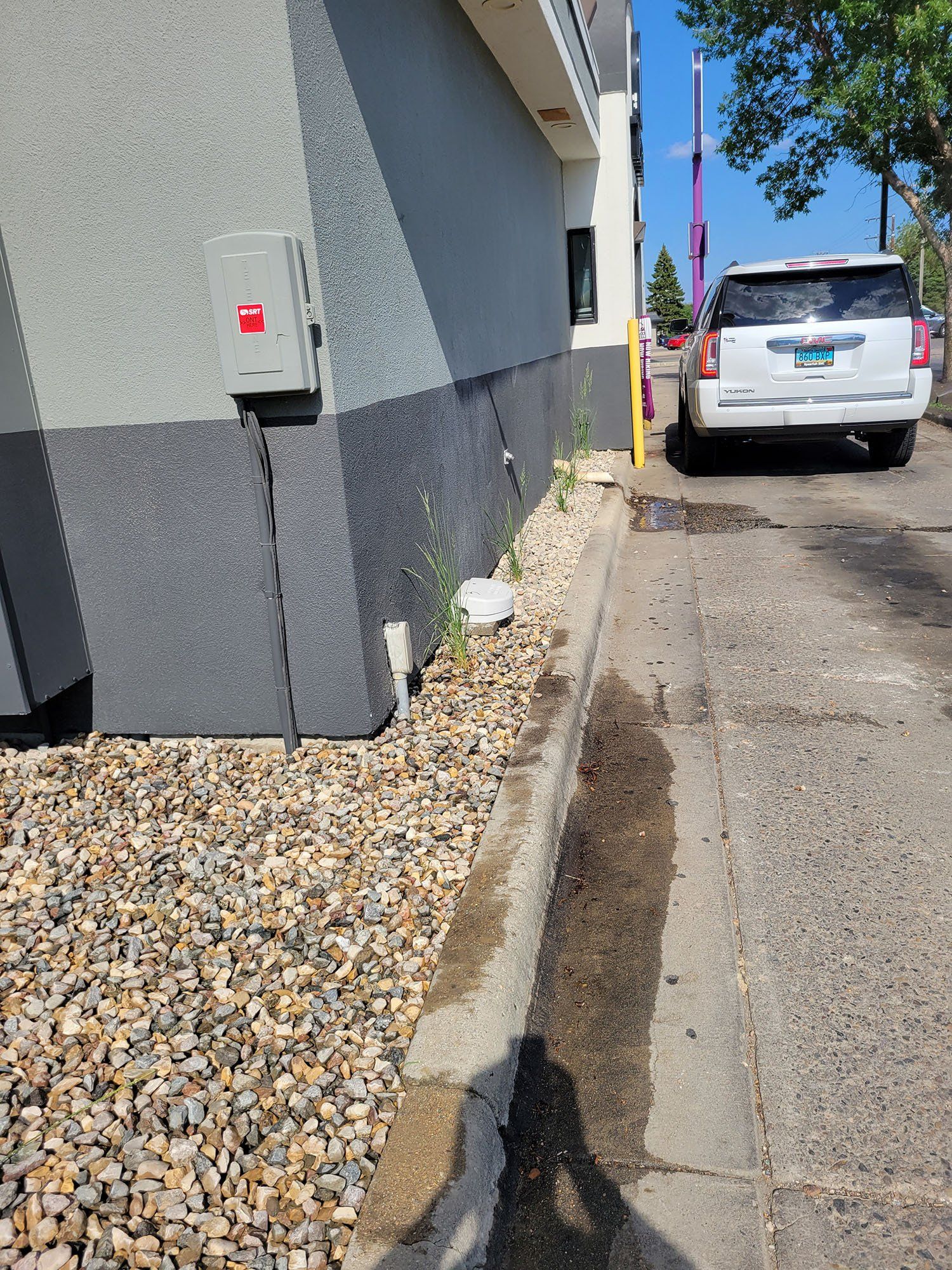 Lawn Care and Maintenance Services