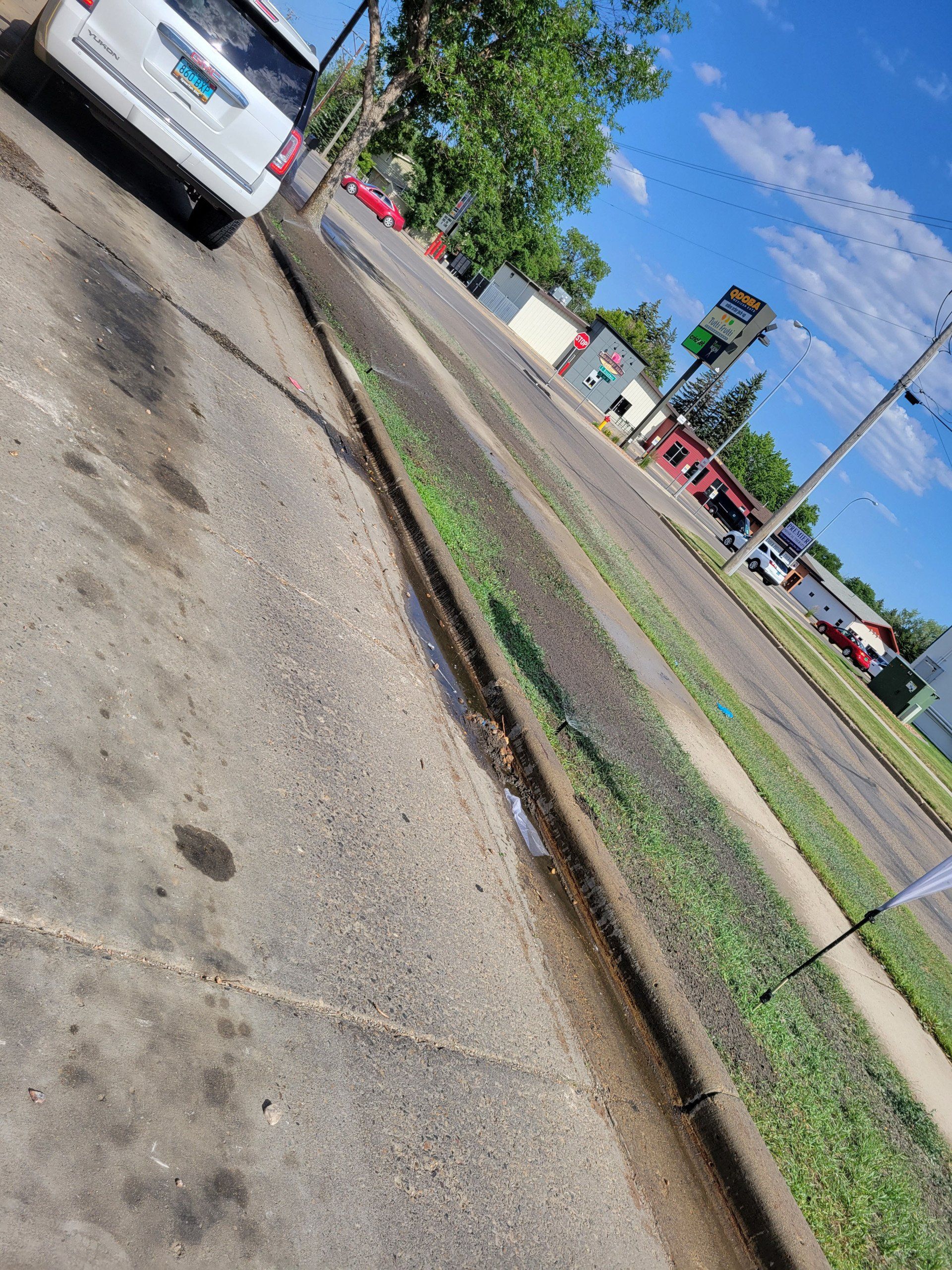 Lawn Care and Maintenance Services