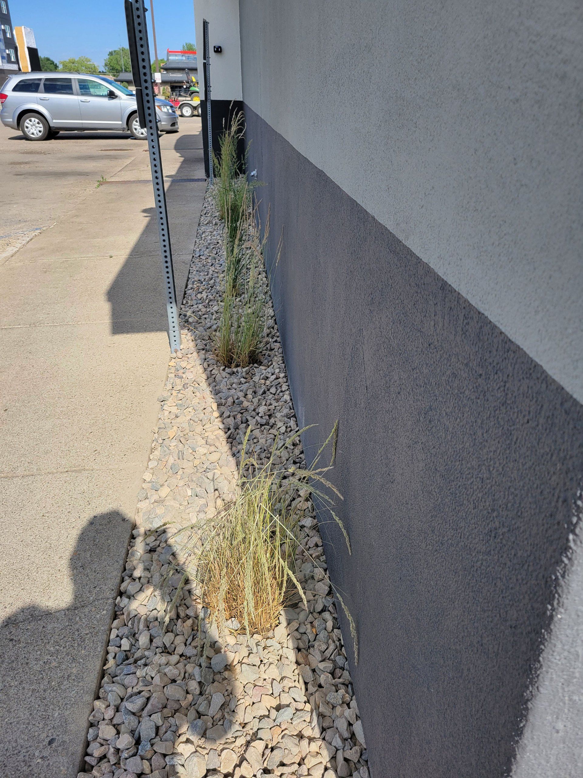 Lawn Care and Maintenance Services