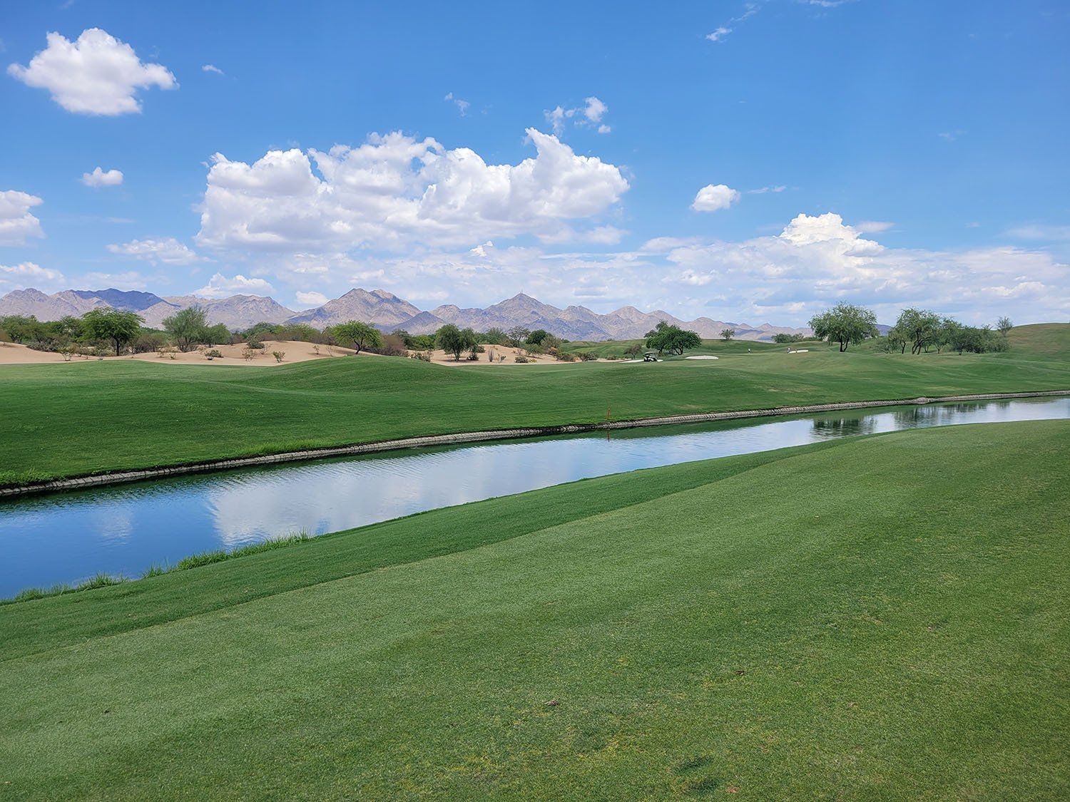 Lawn Care and Maintenance Services