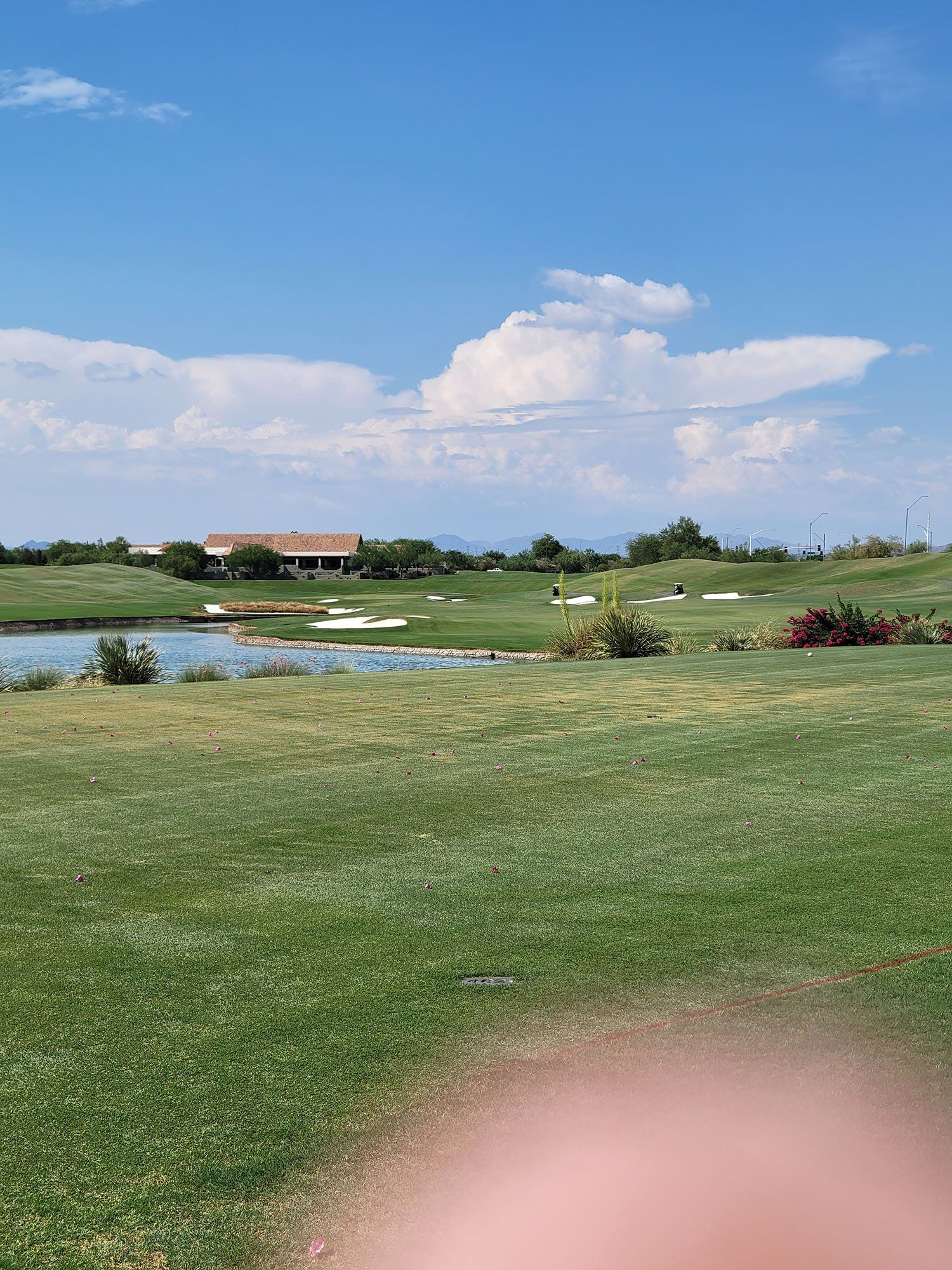 Lawn Care and Maintenance Services