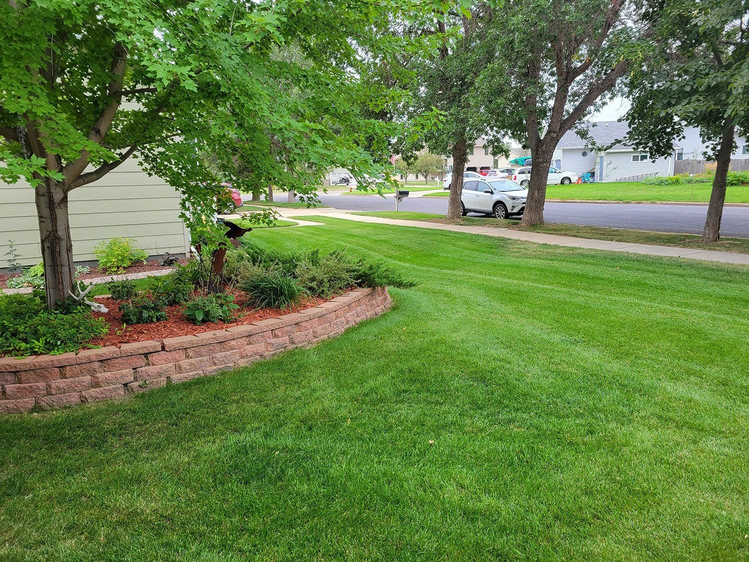 Lawn Care and Maintenance Services