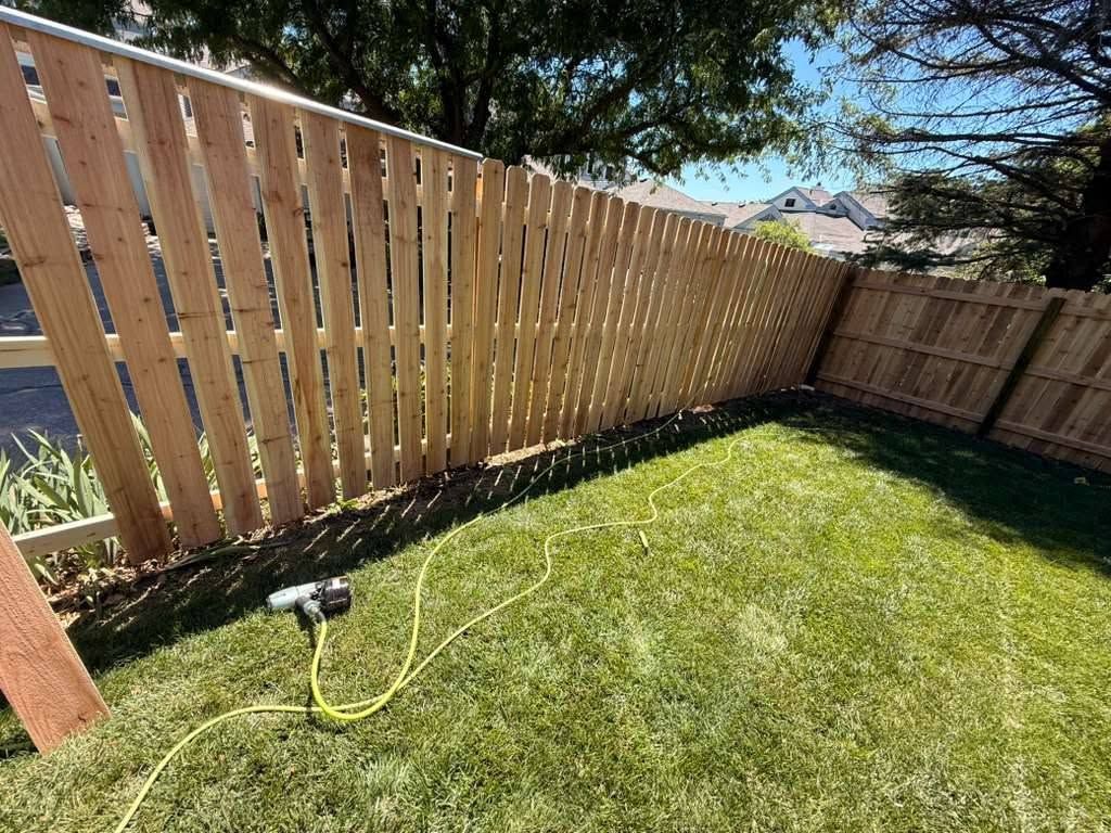 Backyard with a leaning wooden fence, green lawn, and a hose lying on the grass