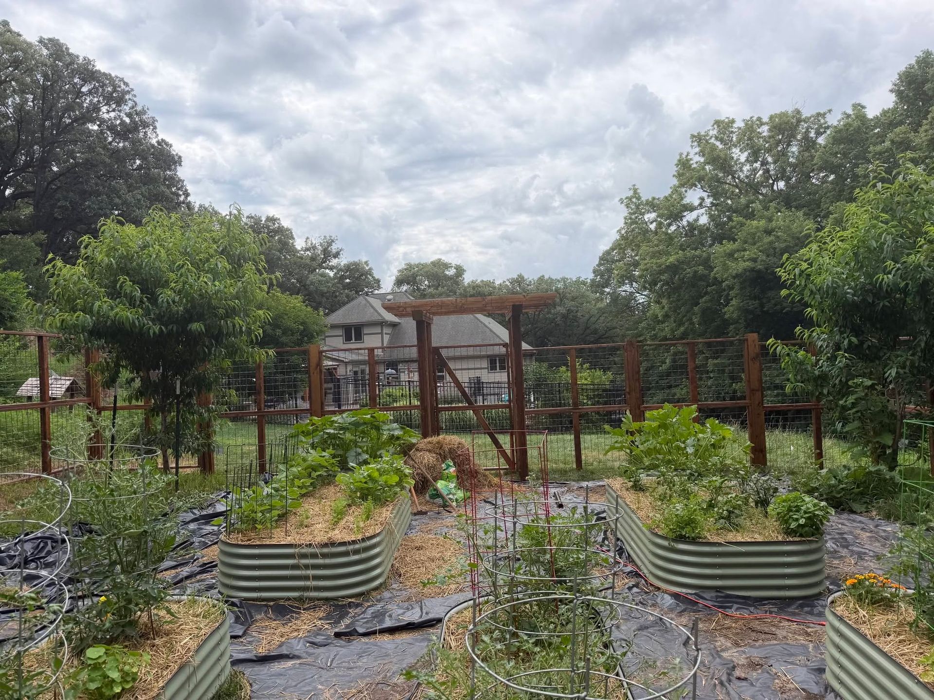 Raised garden beds in a cloudy outdoor community garden with a wooden trellis and trees in the background