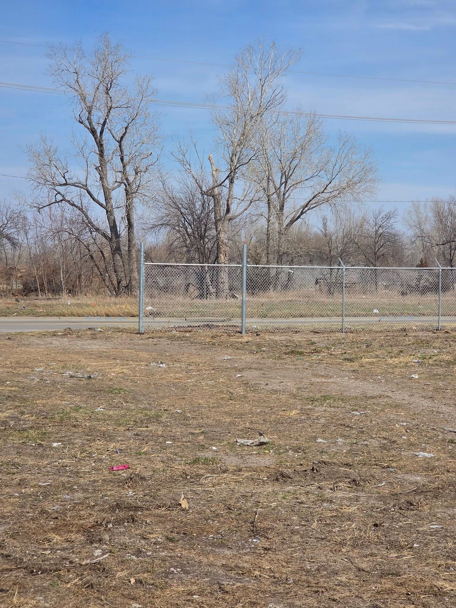 Bare, leafless trees behind a metal fence in a dry, open field under a blue sky