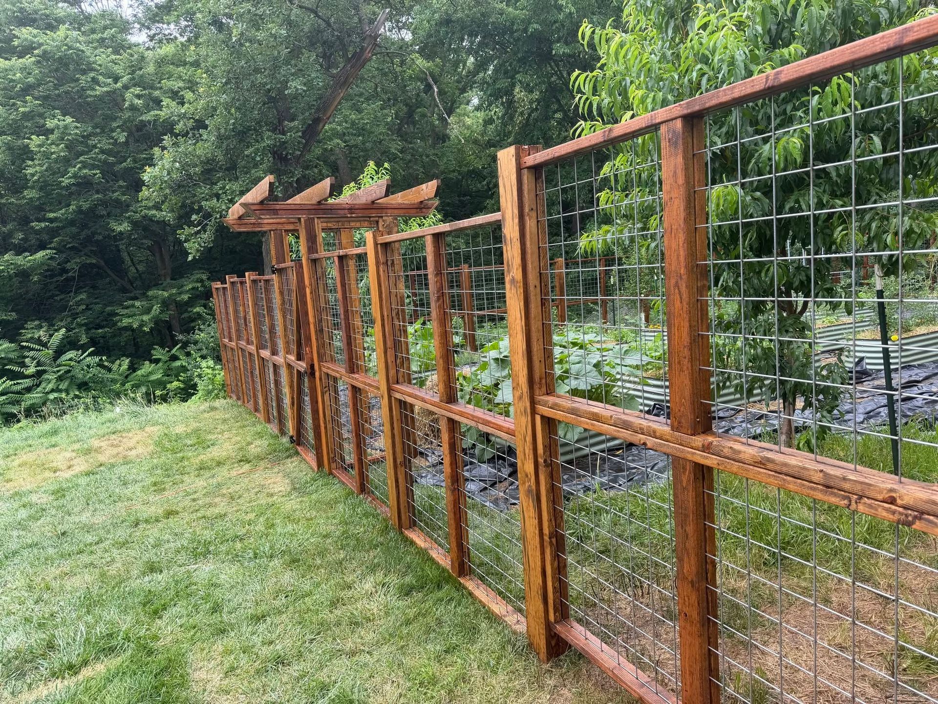 Wooden fence with wire mesh along a grassy yard beside dense green trees