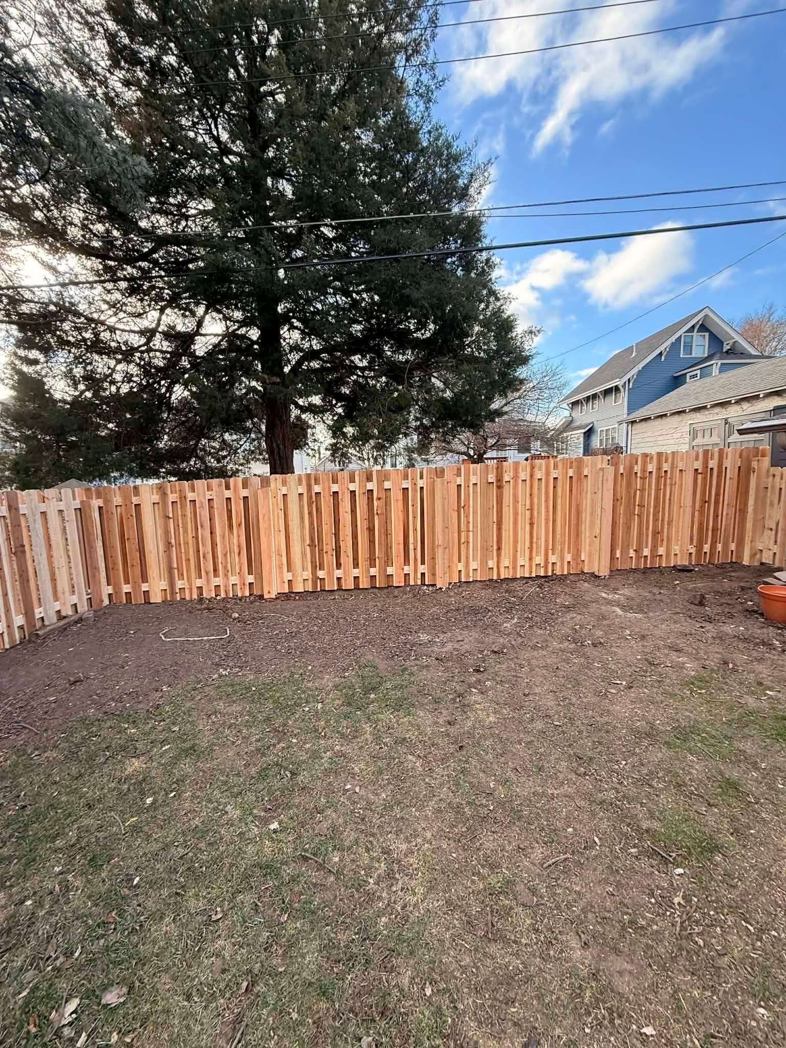 Backyard with a wooden fence, leaf-covered grass, large tree, and a house under a blue sky