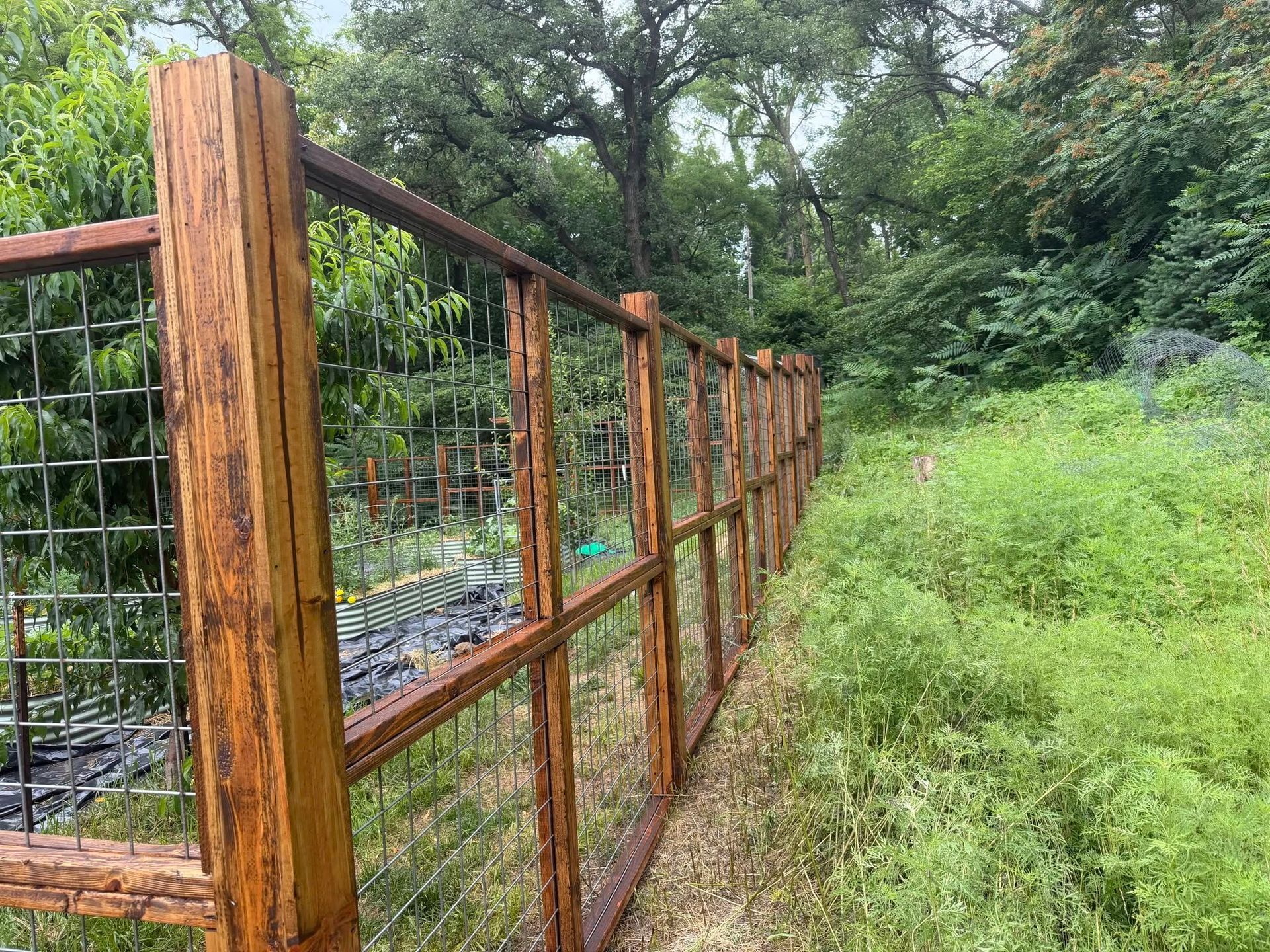 Rusty wire fence beside a lush green wooded path under overcast light
