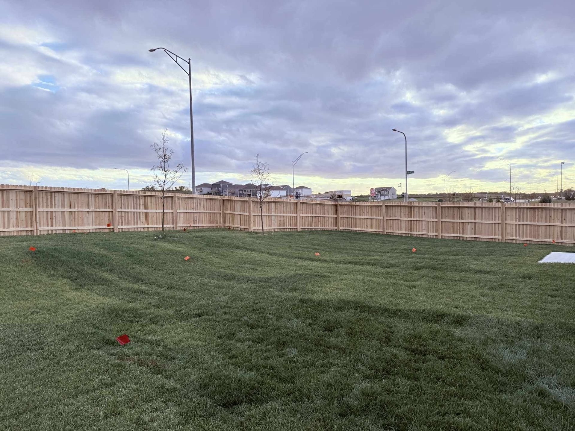 Grassy backyard with a wooden fence, streetlights, and cloudy evening sky.
