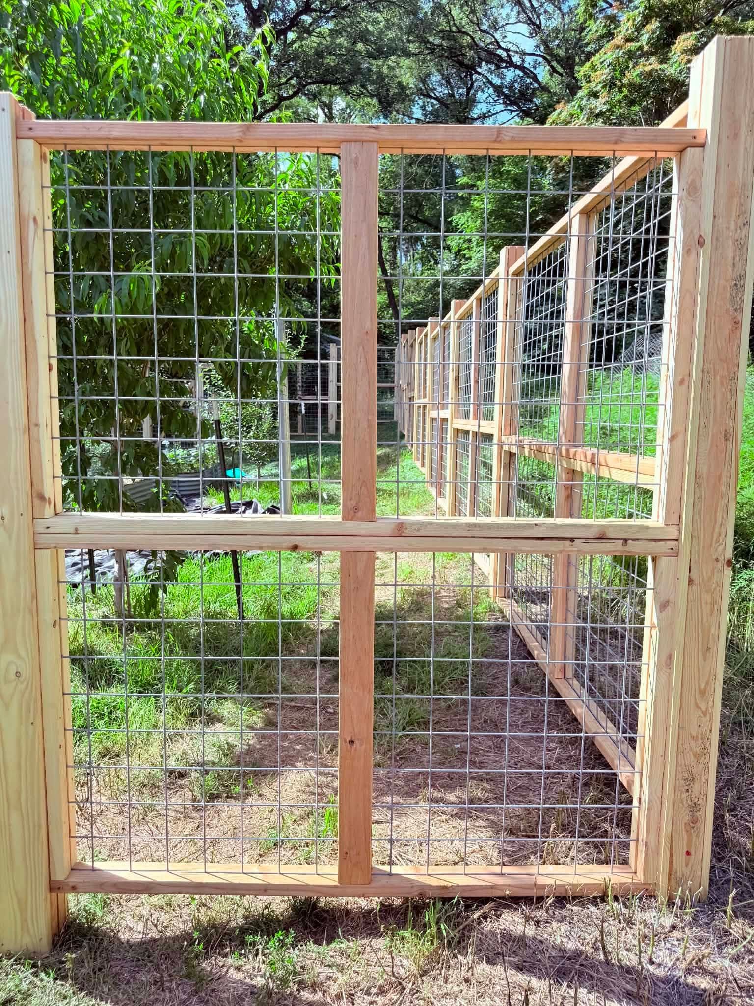 Wooden wire-mesh garden gate with a latch, opening to a wooded path.