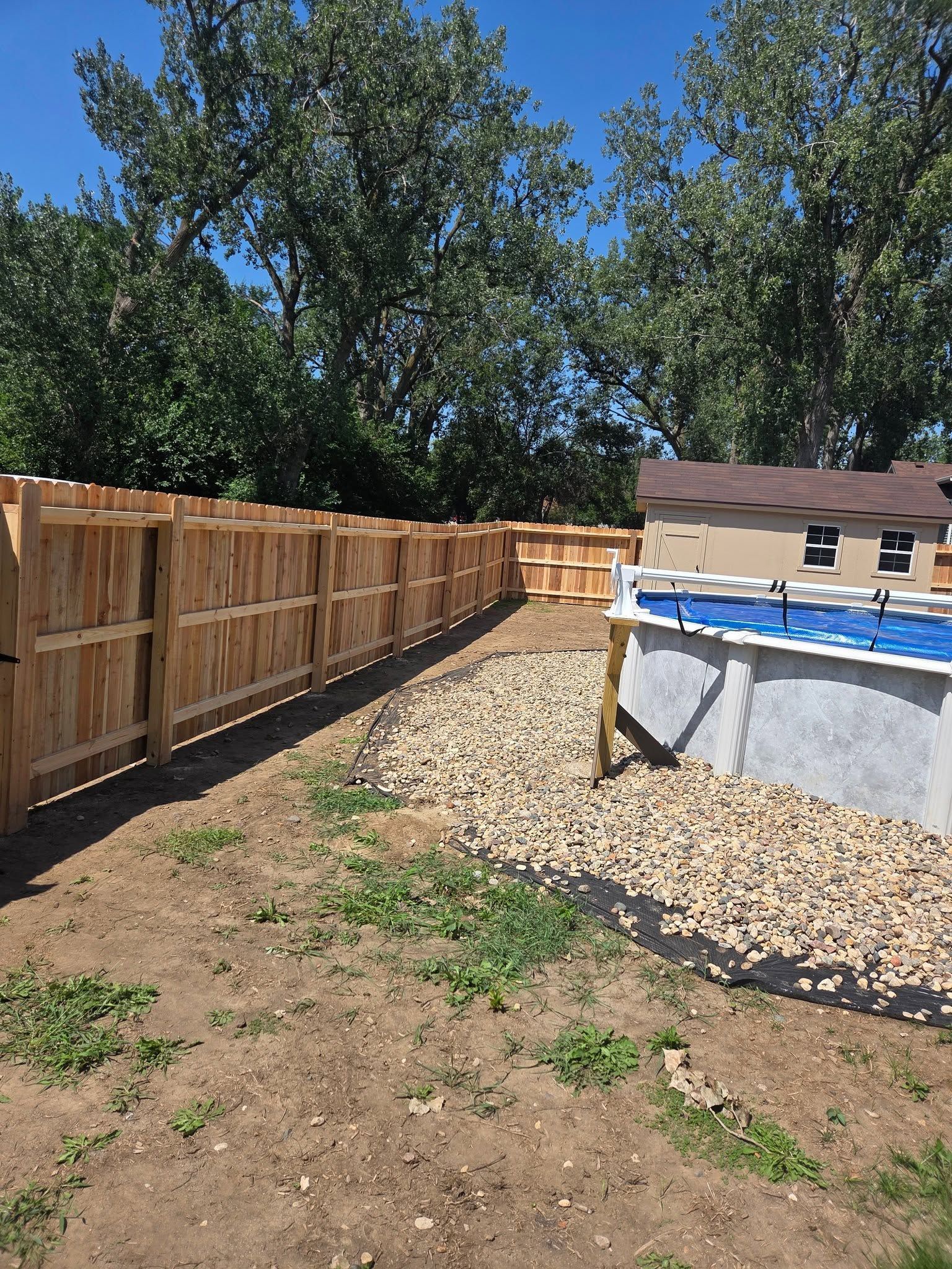 Backyard with wooden fence, gravel strip, dirt yard, and above-ground pool under trees