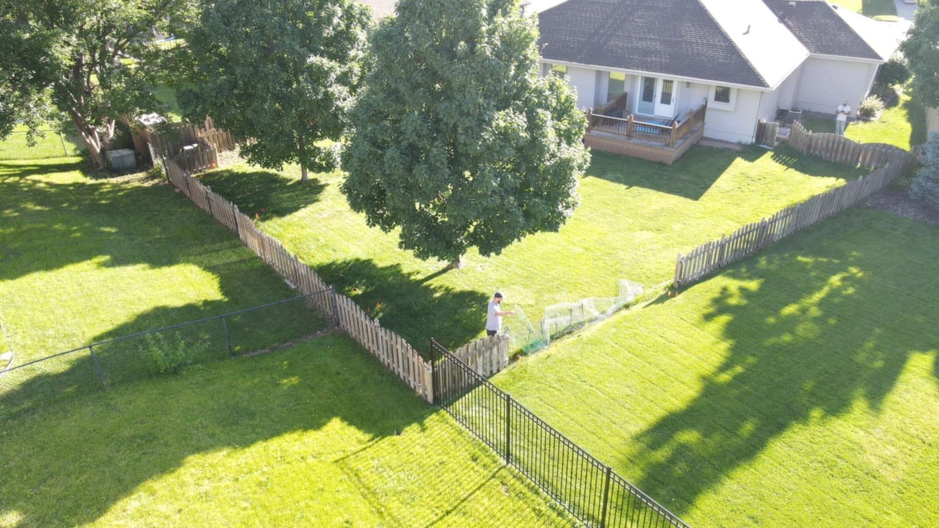 Aerial view of a fenced backyard with green lawn, large tree, and a house with a patio.