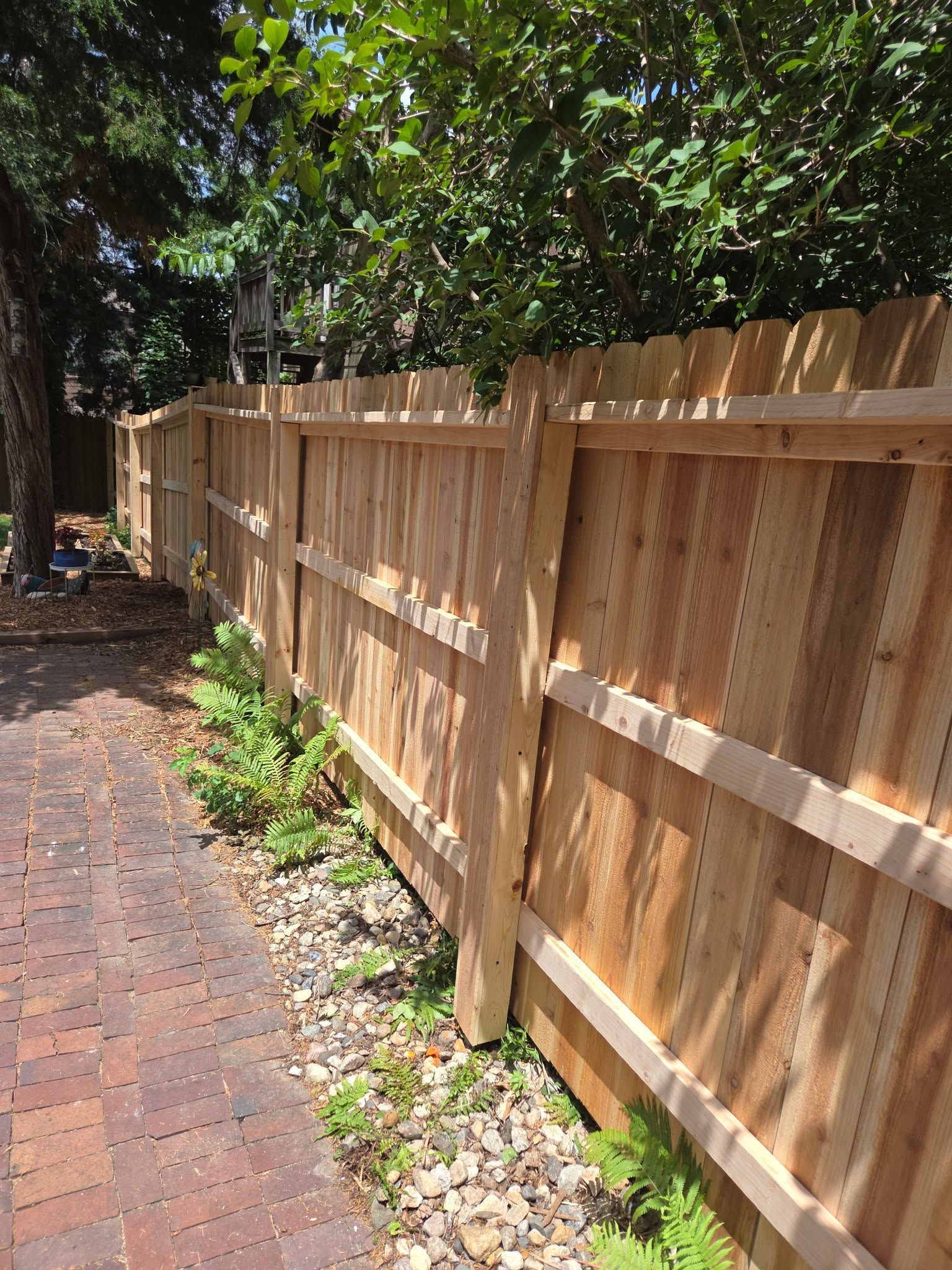 Sunlit wooden fence along a brick path with trees and small plants beside it