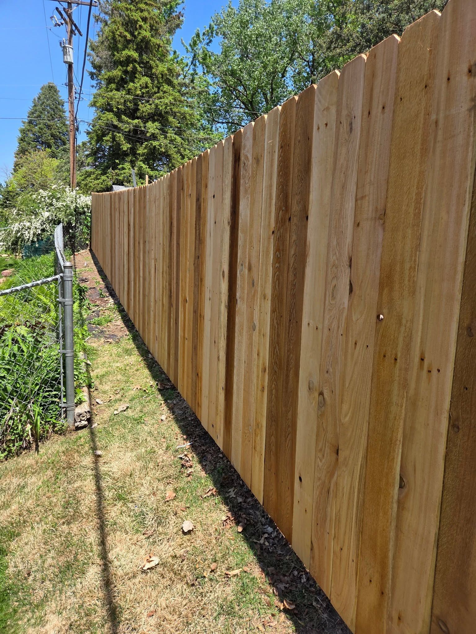 Long wooden fence along a grassy yard beside dense trees and a chain-link fence under a blue sky