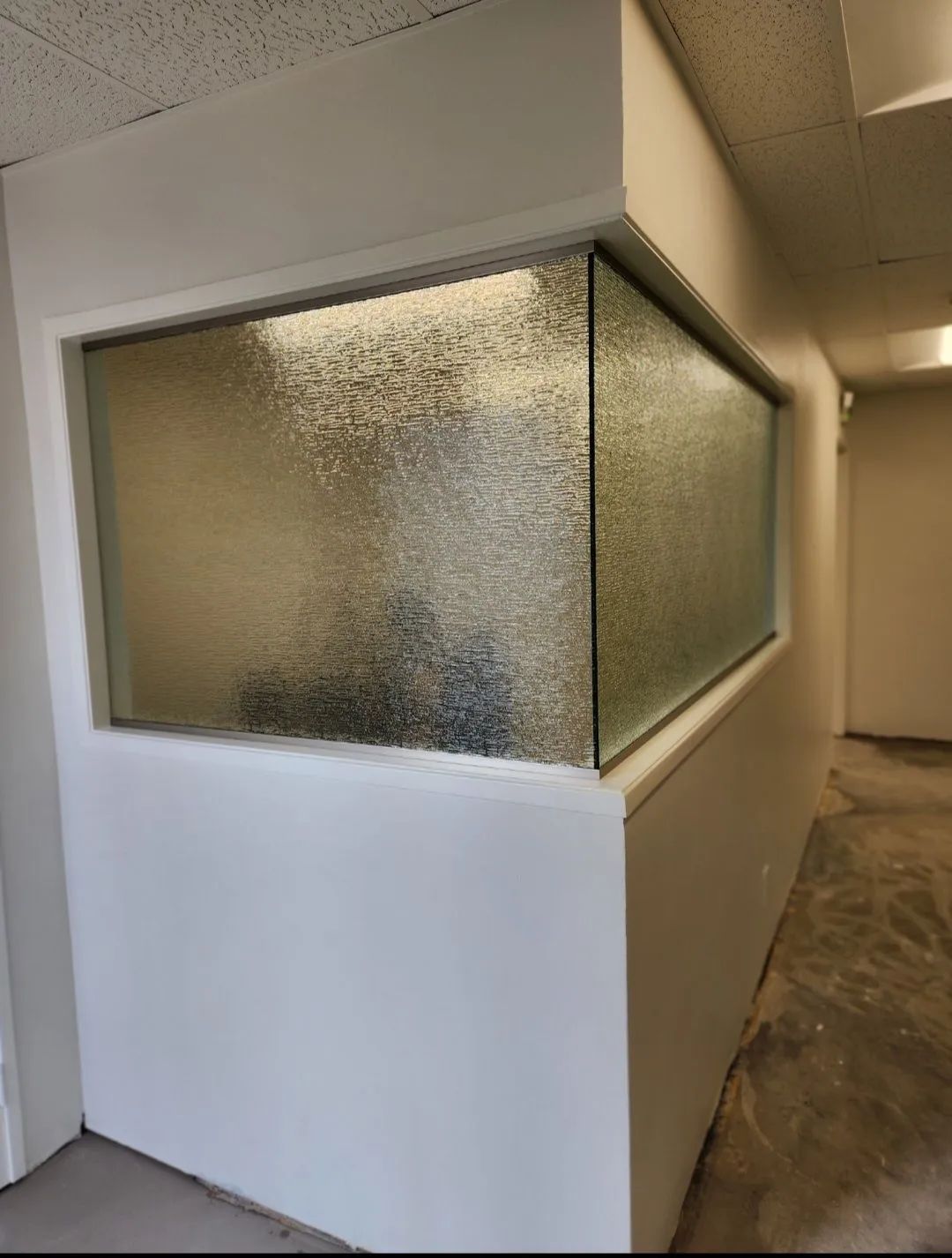 Frosted glass office partition in a hallway with white walls and beige ceiling tiles
