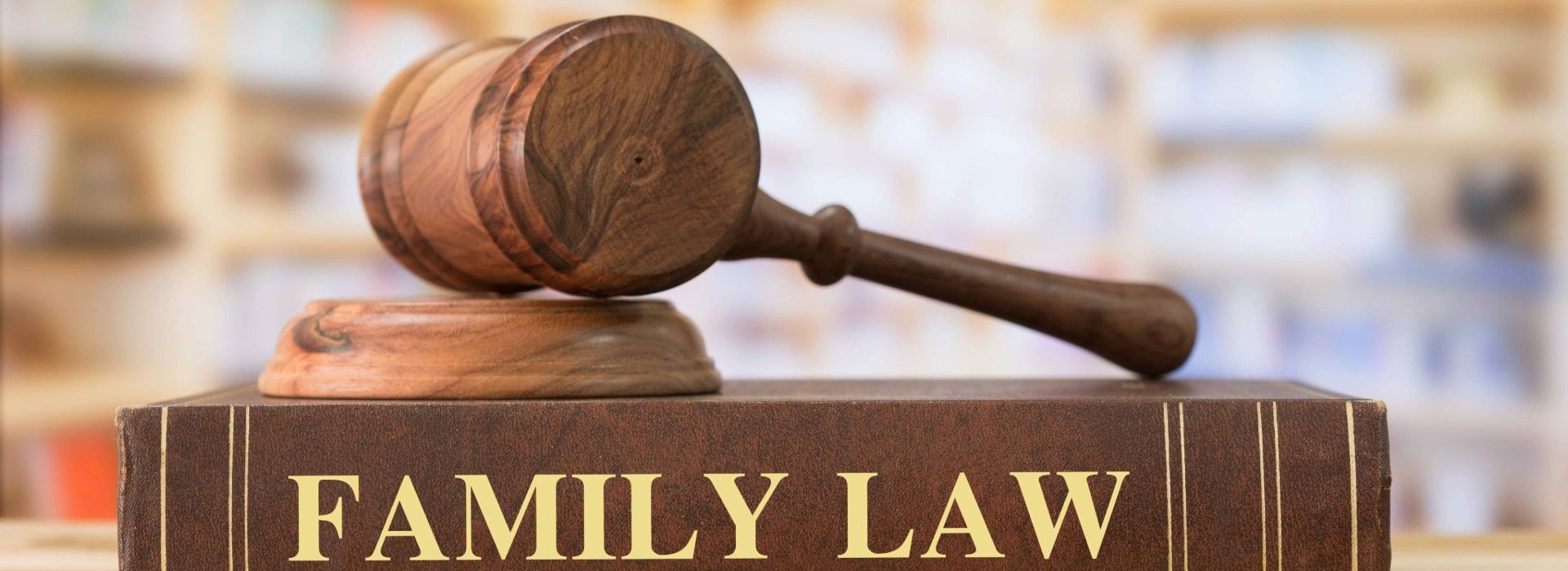 family law gavel and law book