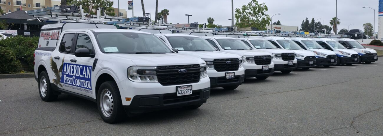A line of white pickup trucks with equipment racks and company logos parked in a lot