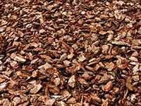 Wood chips for mulch