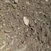 A close up of a pile of dirt and rocks.