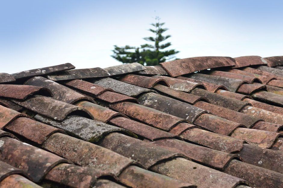 Old and damage roof