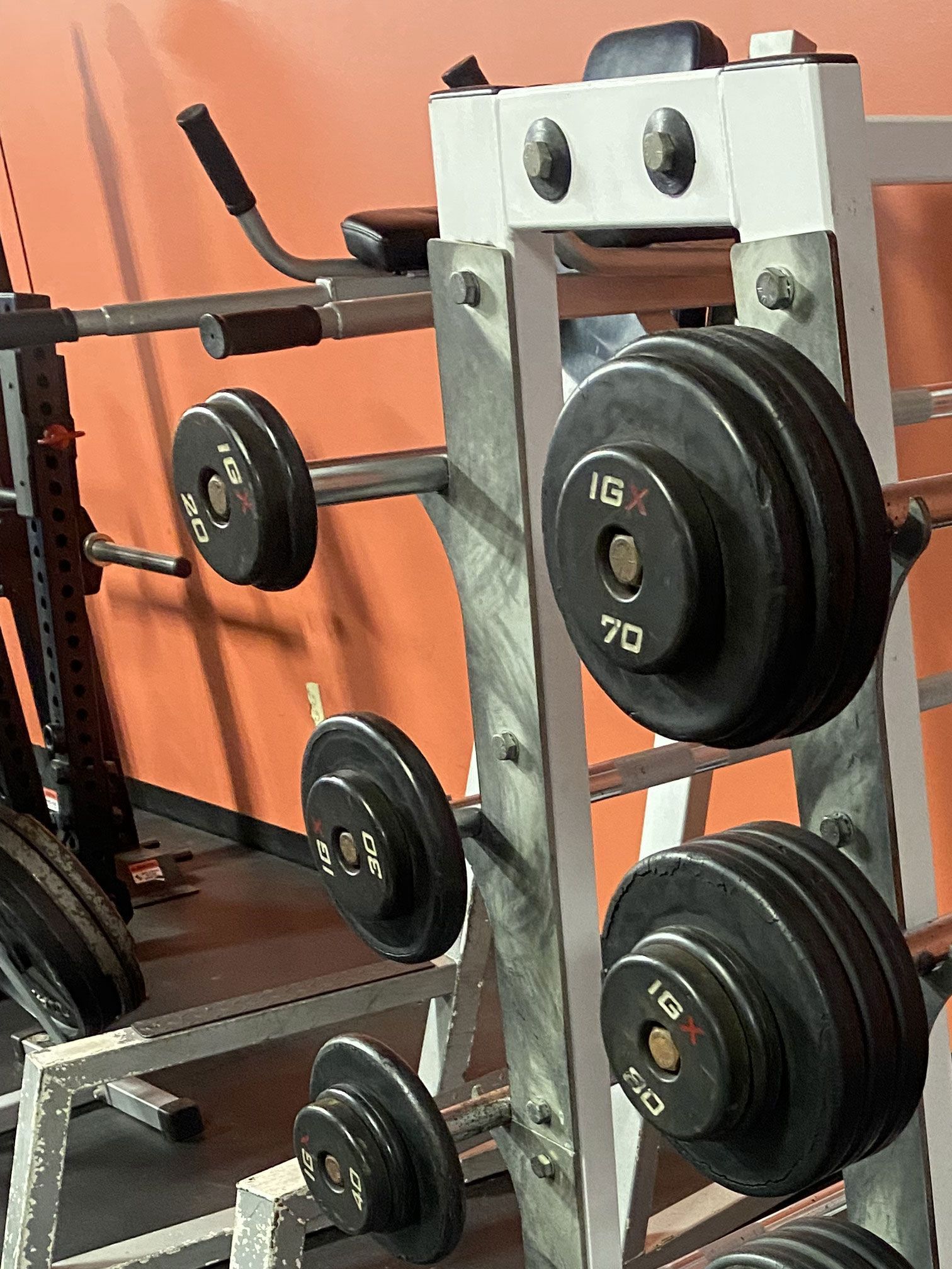 Weight plates on a storage rack in a gym, orange wall background.