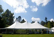 Wedding canopy