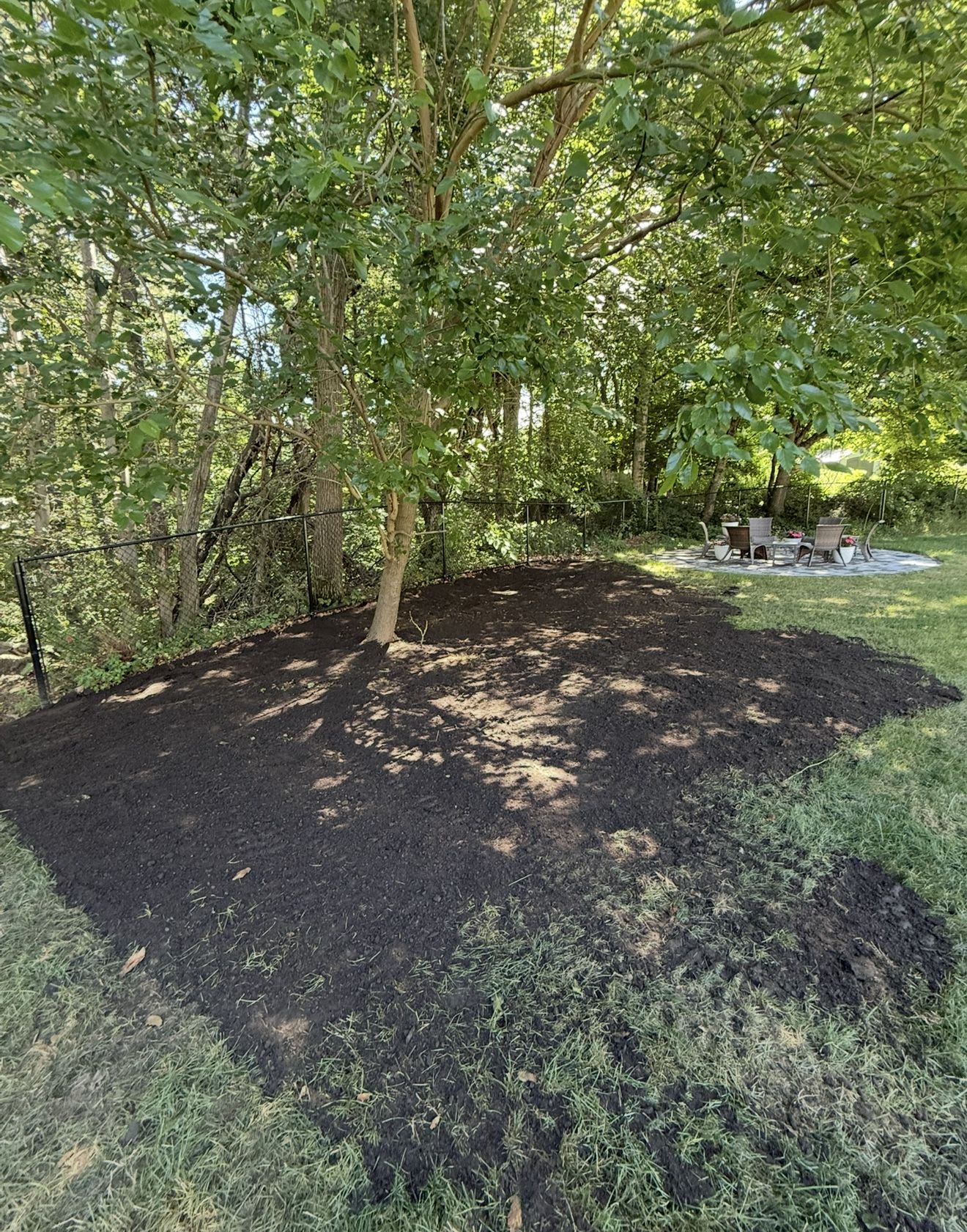 Mulched garden bed beneath a tree, surrounded by grass and other trees.