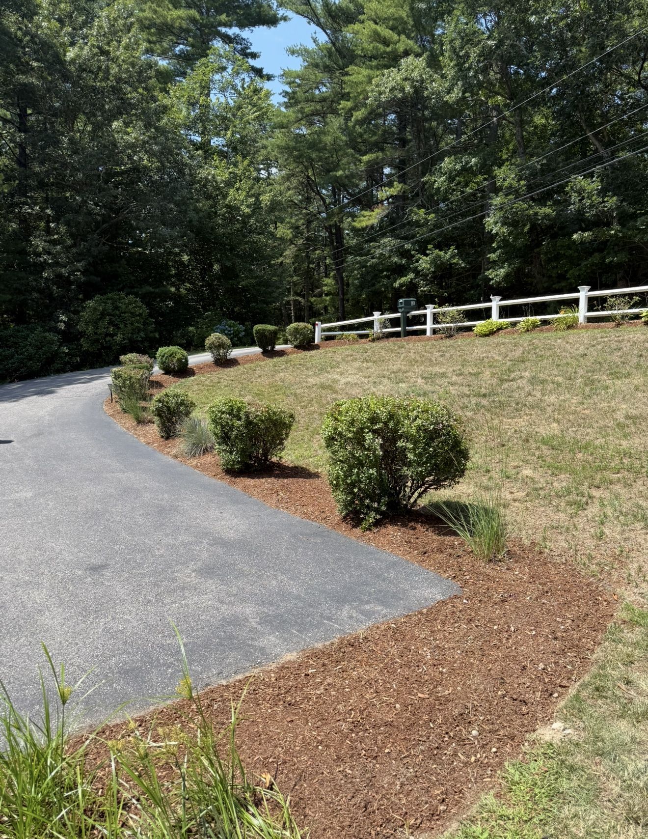 Black asphalt driveway lined with green bushes and mulch, white fence in the background, trees, blue sky.