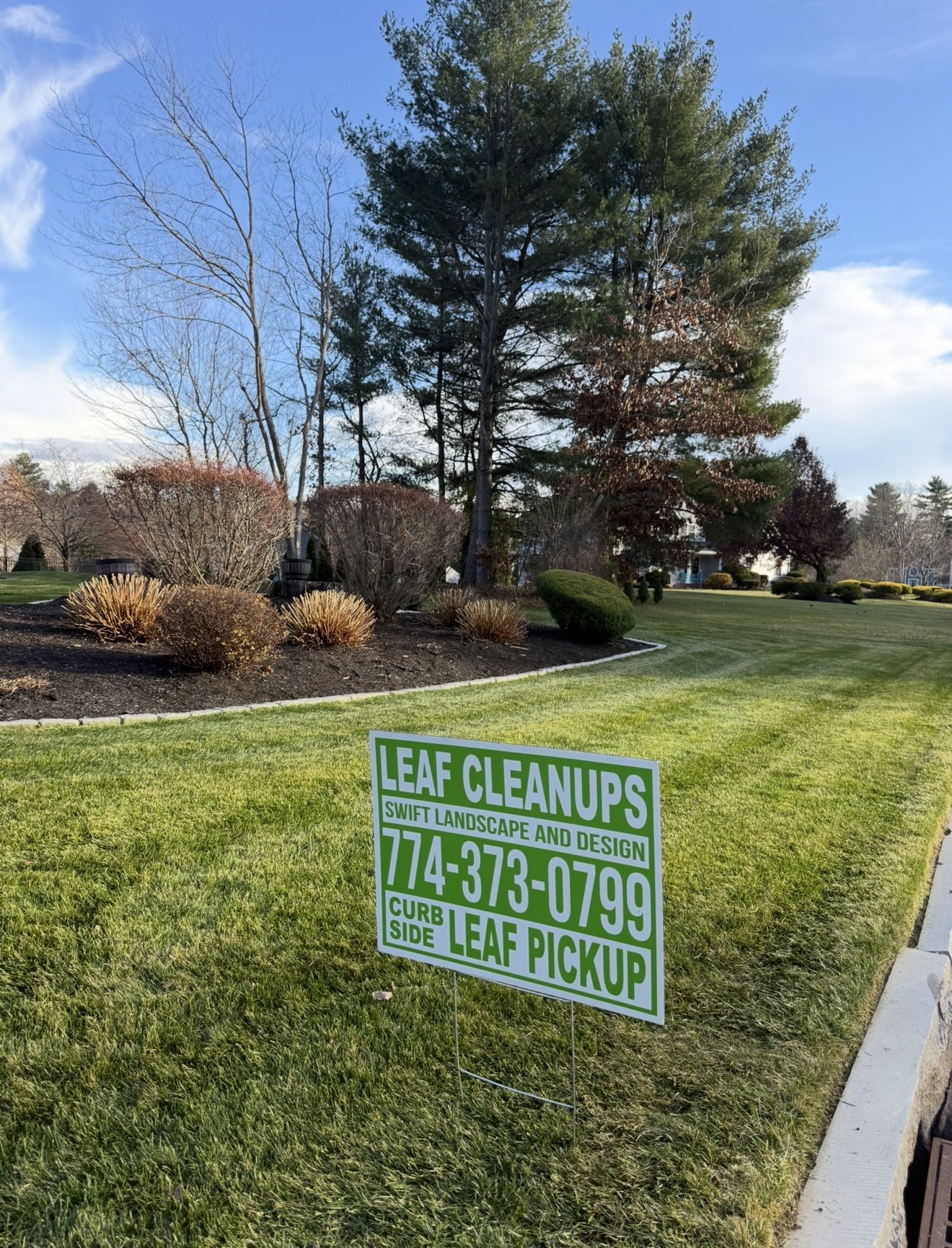 Green lawn with a sign advertising leaf cleanups. The sign has contact information and is near a curb and trees.