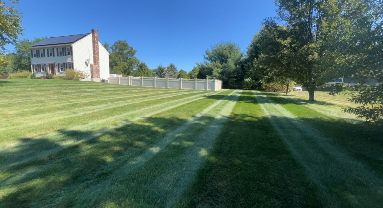 Lawn mowed in stripes in front of a two-story house with a white fence on a sunny day.