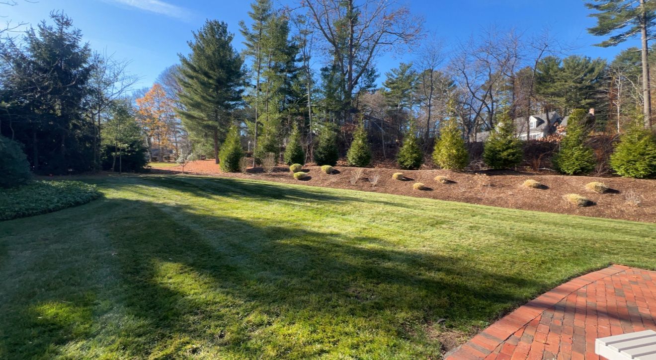 Sunny backyard with green lawn, shrubs, trees, and a brick patio.