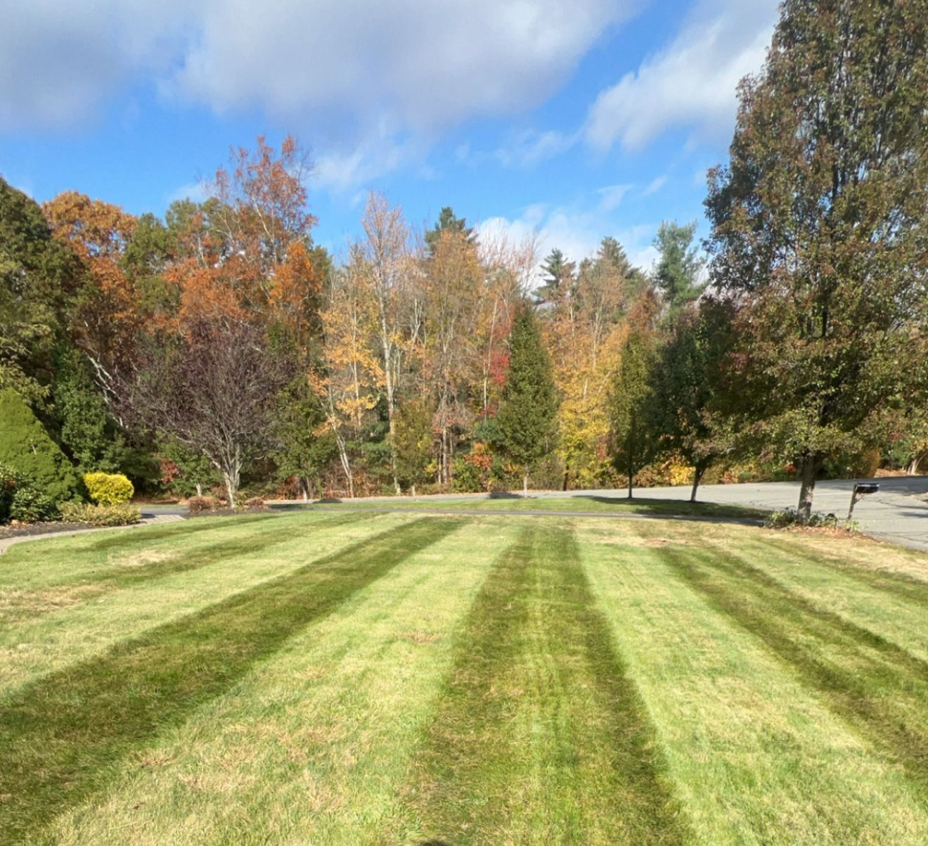 Lawn with mowing stripes, autumn trees in the background, blue sky with clouds.